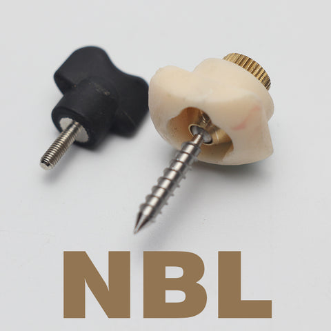 Neck joint replacement for AZONE body with NBL and RBL head